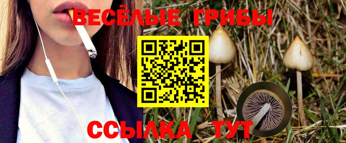 Псилоцибиновые грибы Psilocybine cubensis  Псилоцибиновые грибы MAGIC MUSHROOMS  Ипатово  закладки  Вход с VPN 